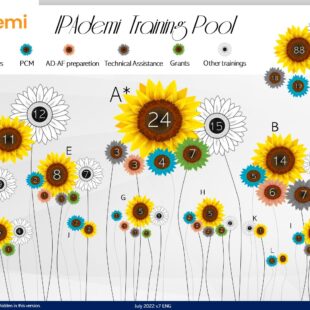 Training Pool Infographic